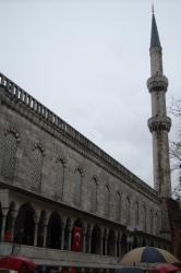 DSC_0253.JPG