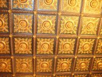 IMG_1555.jpg