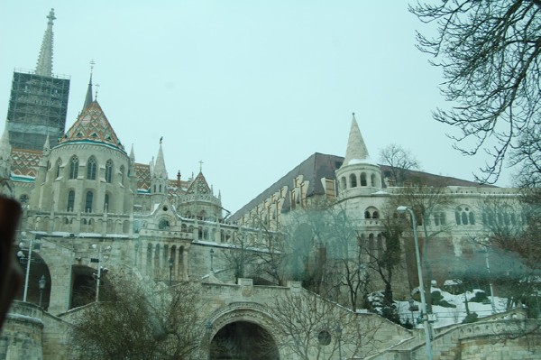 DSC_0814.jpg